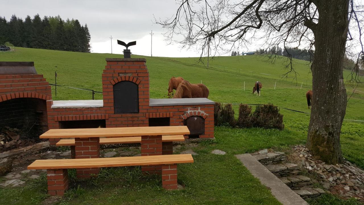 Kněžice 25, chalupa v Krkonoších Vrchlabí Exterior foto